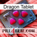 Dragon Tablet 13